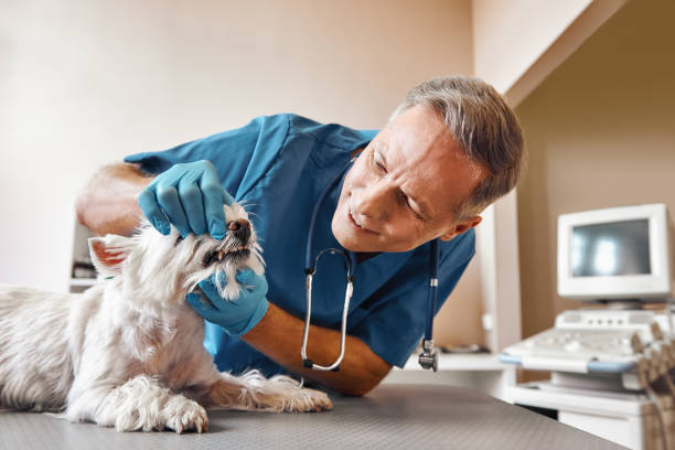Best Emergency Tooth Extraction in Radford, VA